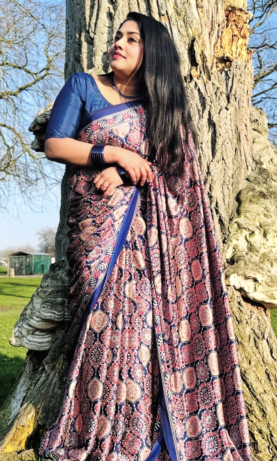 Navy Blue Ajrakh Print Modal Saree